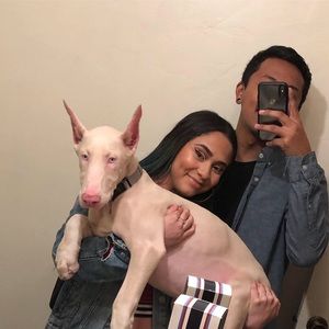 Meet your Posher, Iris